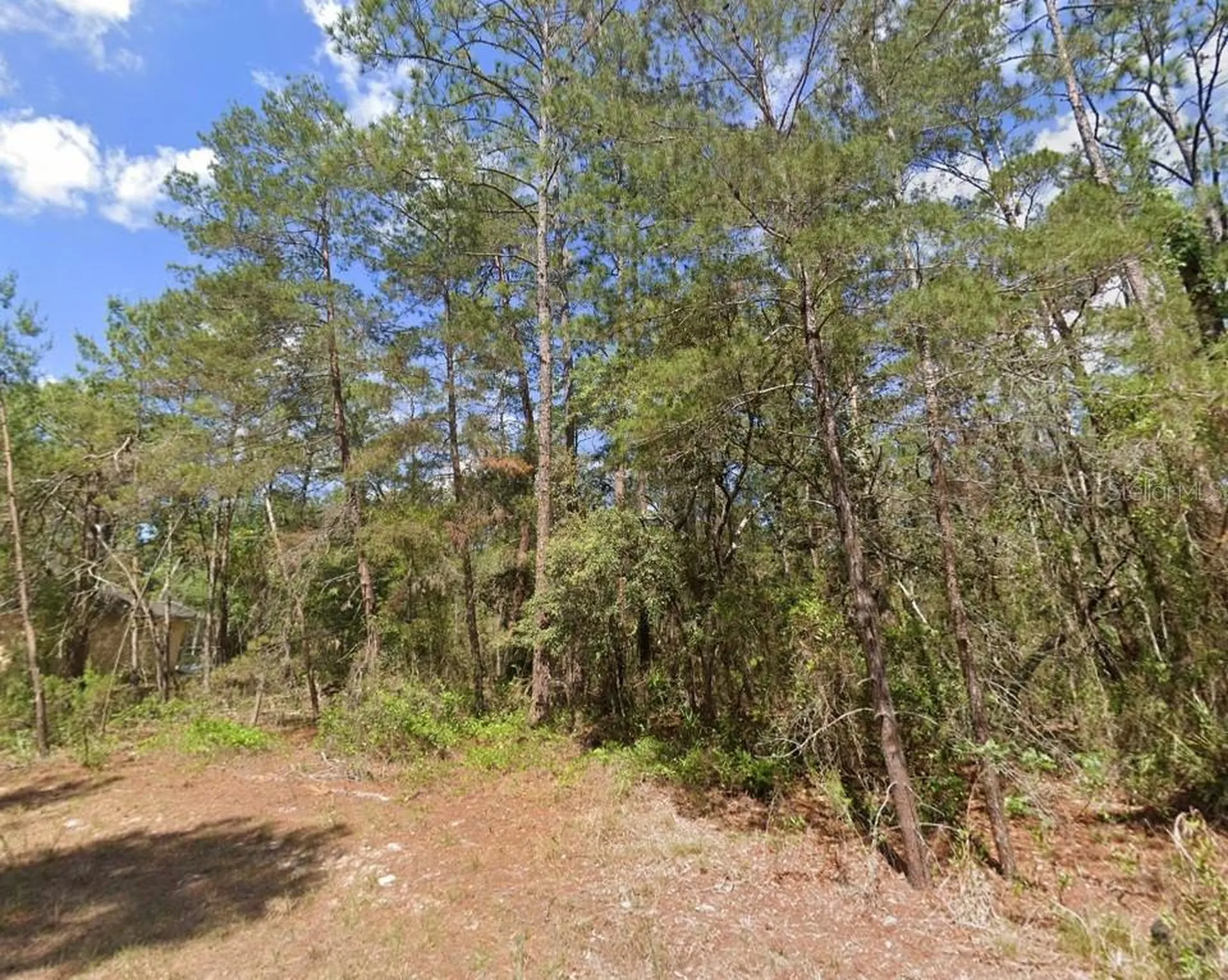 15 Petunias Court Homosassa FL 34446