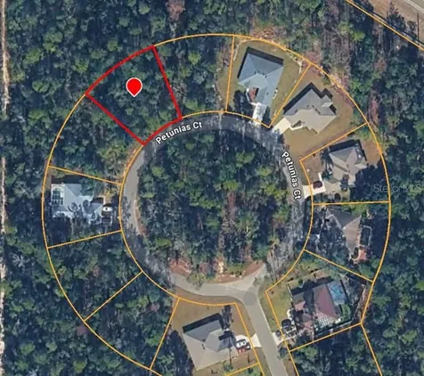 15 Petunias Court Homosassa FL 34446