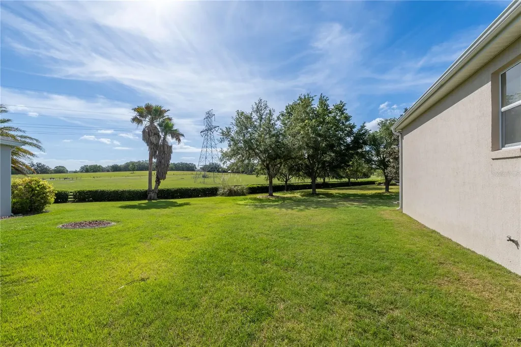 270 Matisse Avenue The Villages FL 32162