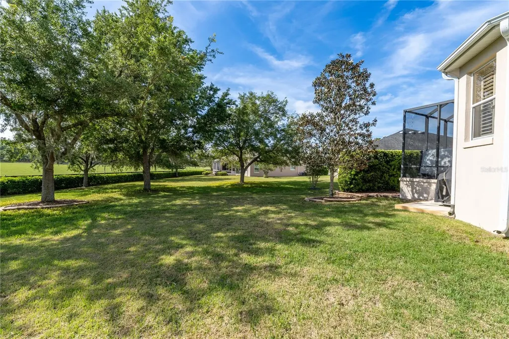 270 Matisse Avenue The Villages FL 32162