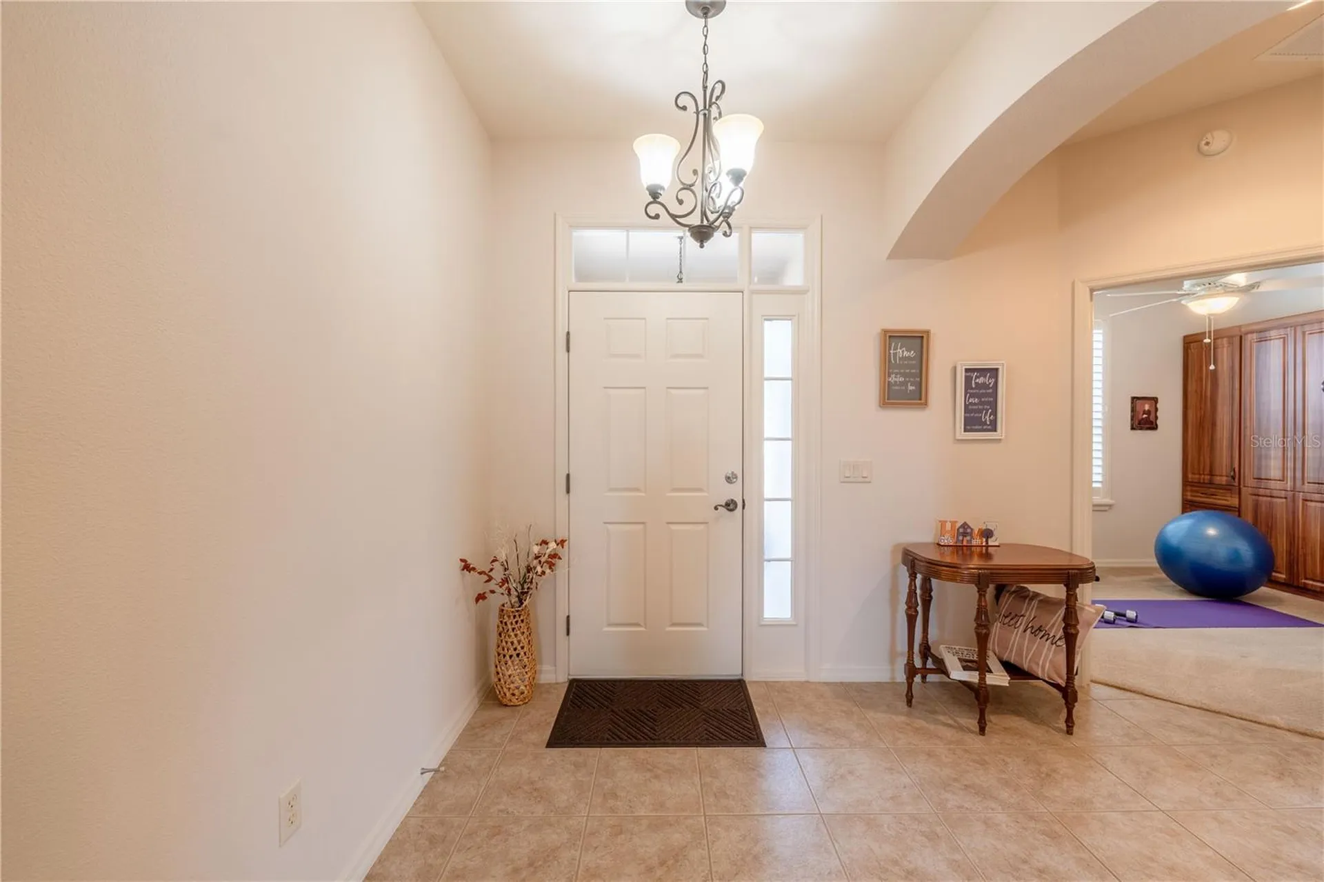 270 Matisse Avenue The Villages FL 32162