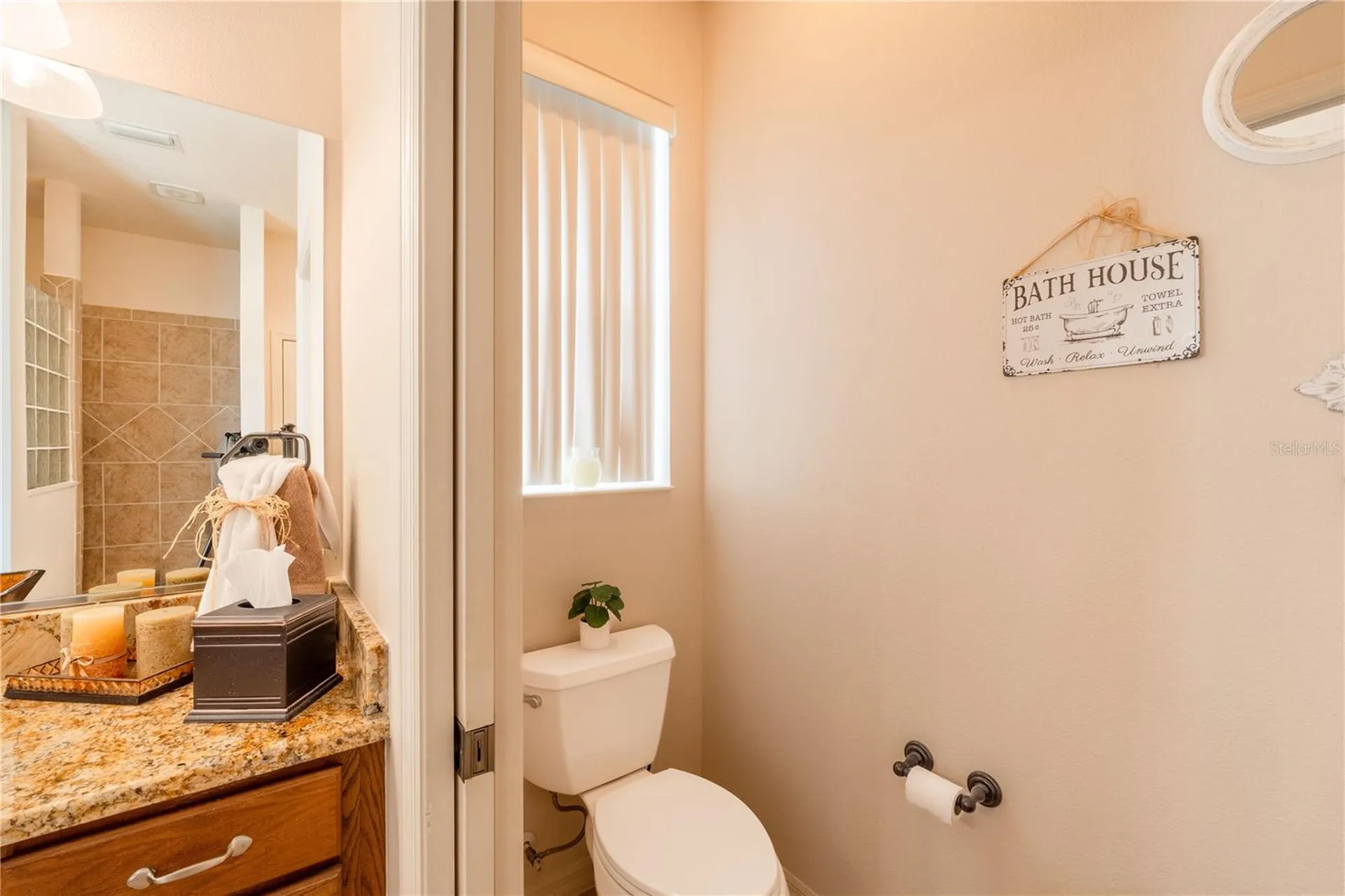 270 Matisse Avenue The Villages FL 32162