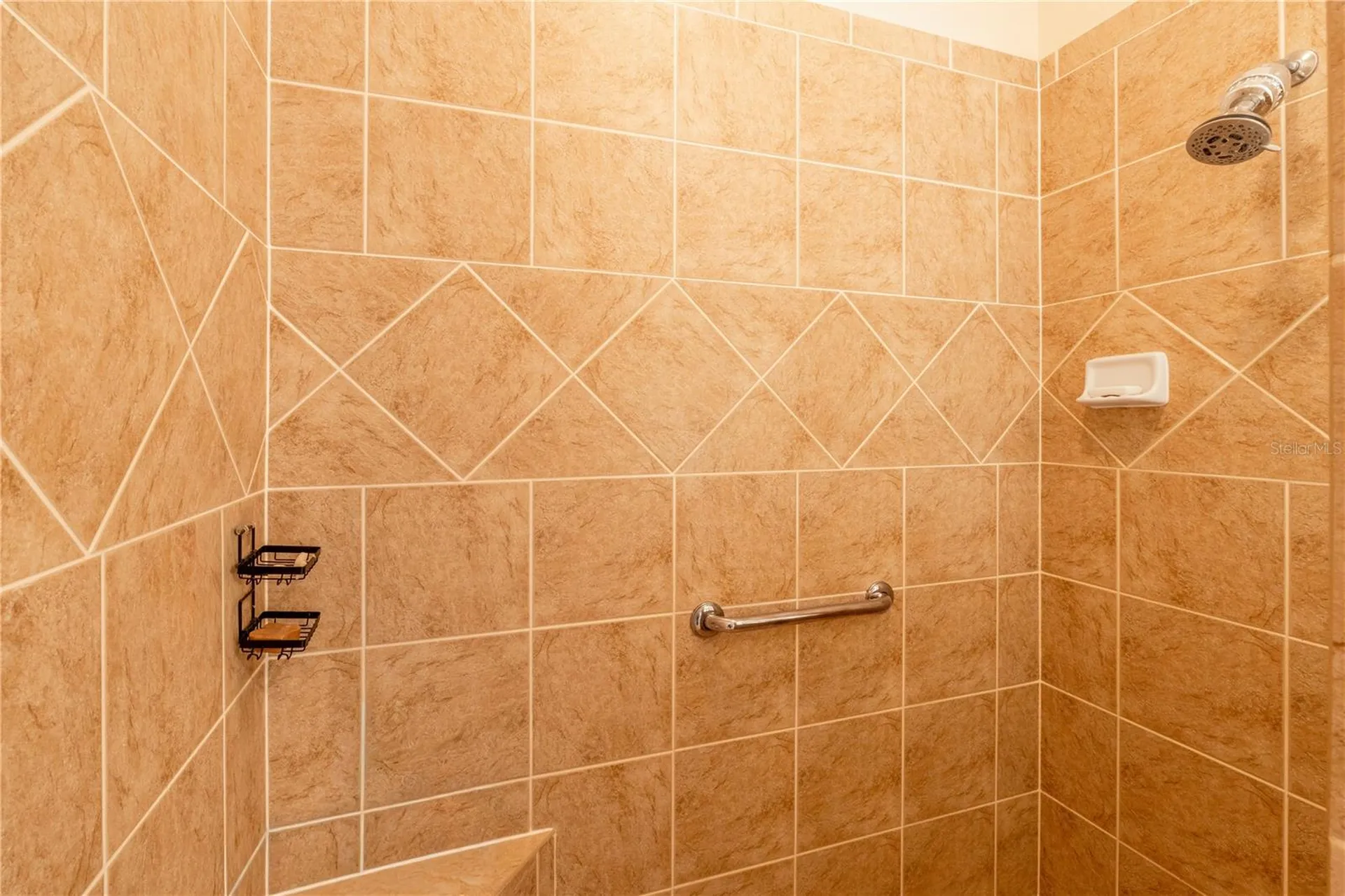 270 Matisse Avenue The Villages FL 32162