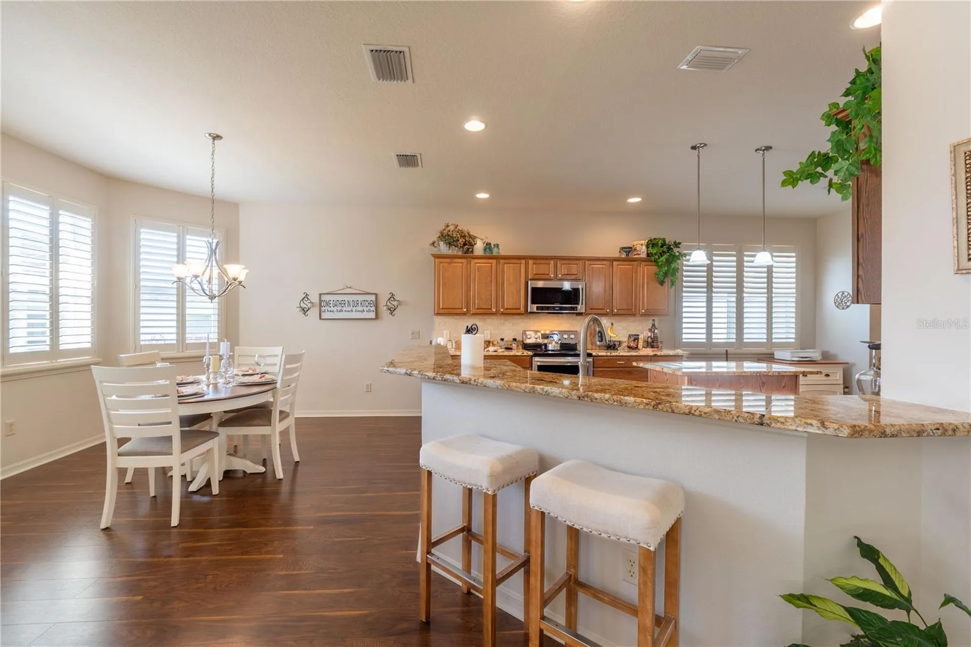 270 Matisse Avenue The Villages FL 32162