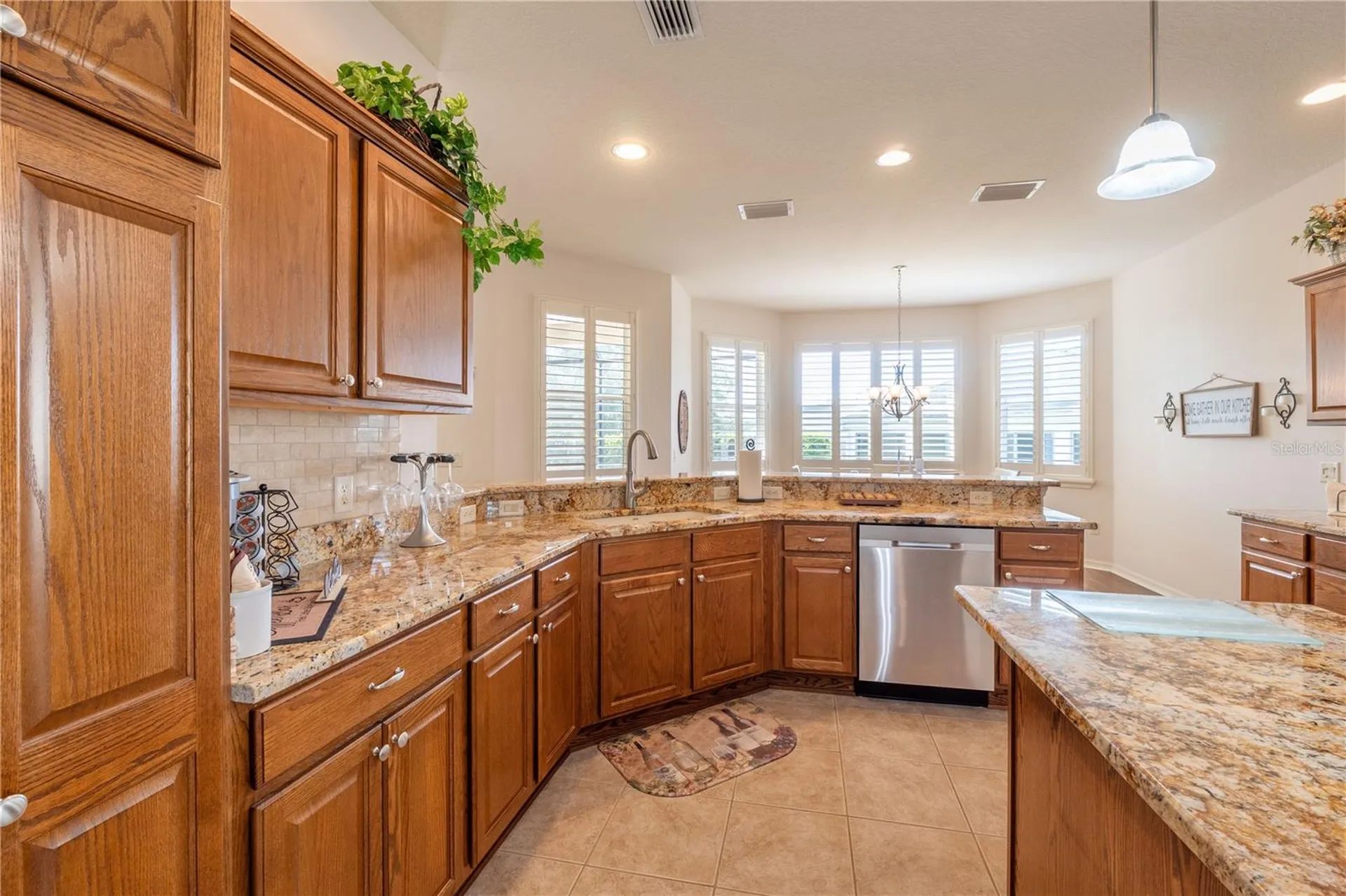 270 Matisse Avenue The Villages FL 32162