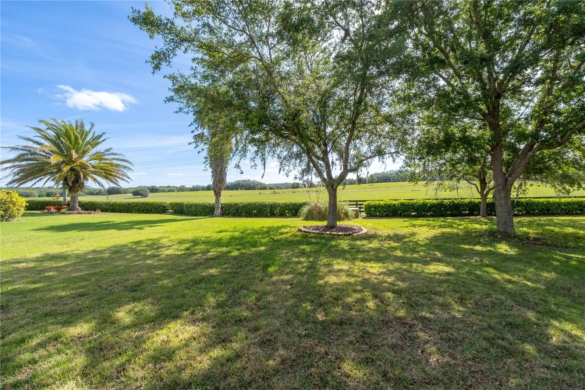 270 Matisse Avenue The Villages FL 32162