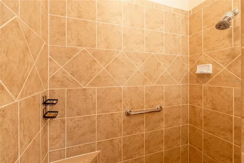 270 Matisse Avenue The Villages FL 32162
