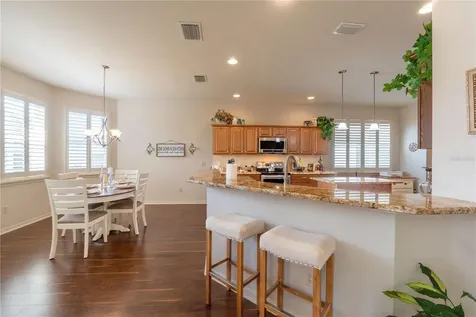 270 Matisse Avenue The Villages FL 32162
