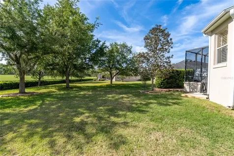 270 Matisse Avenue The Villages FL 32162