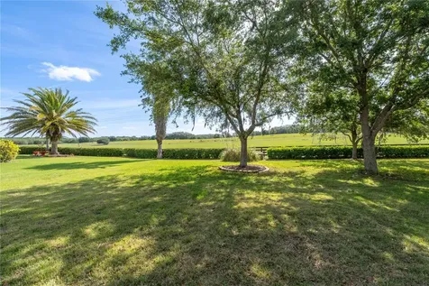 270 Matisse Avenue The Villages FL 32162