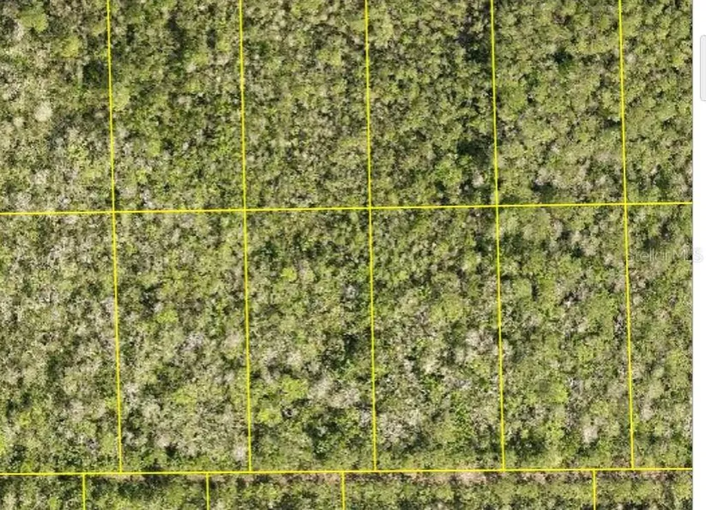 Pid 710801150230 No Street Deland FL 32724