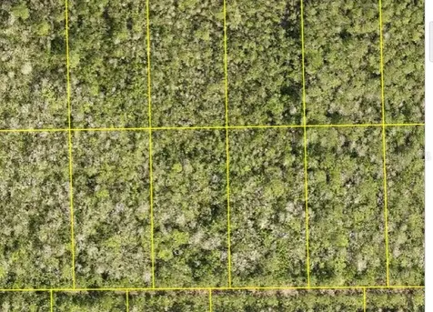 Pid 710801150230 No Street Deland FL 32724