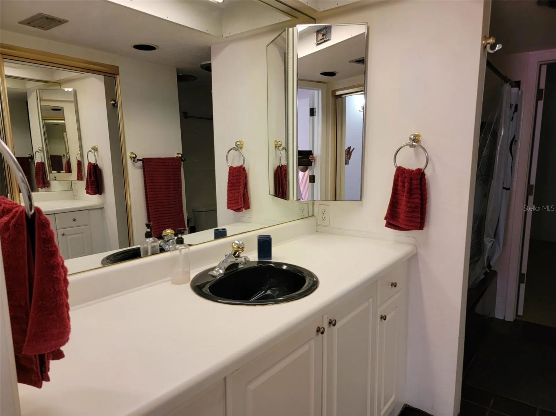 1761 Cupecoy Circle Lutz FL 33558