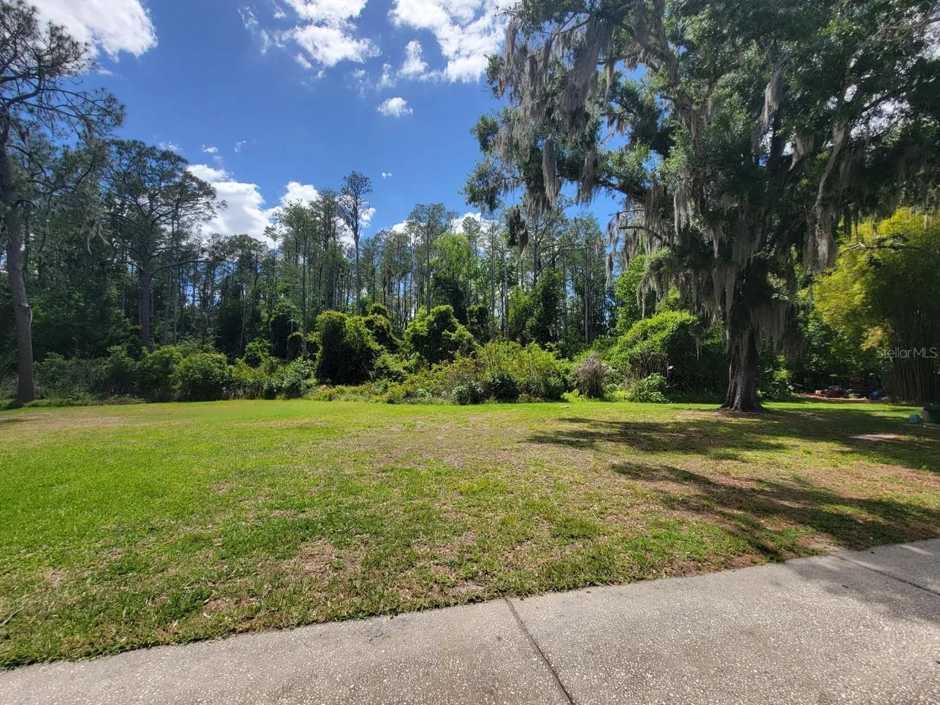 1761 Cupecoy Circle Lutz FL 33558