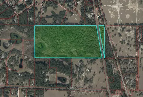 2650 SE Highway 41 Morriston FL 32668