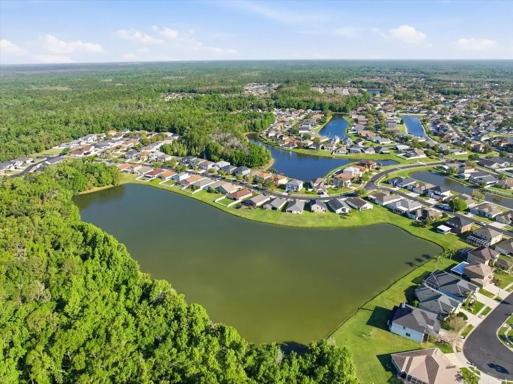 25522 Bruford Boulevard Land O Lakes FL 34639