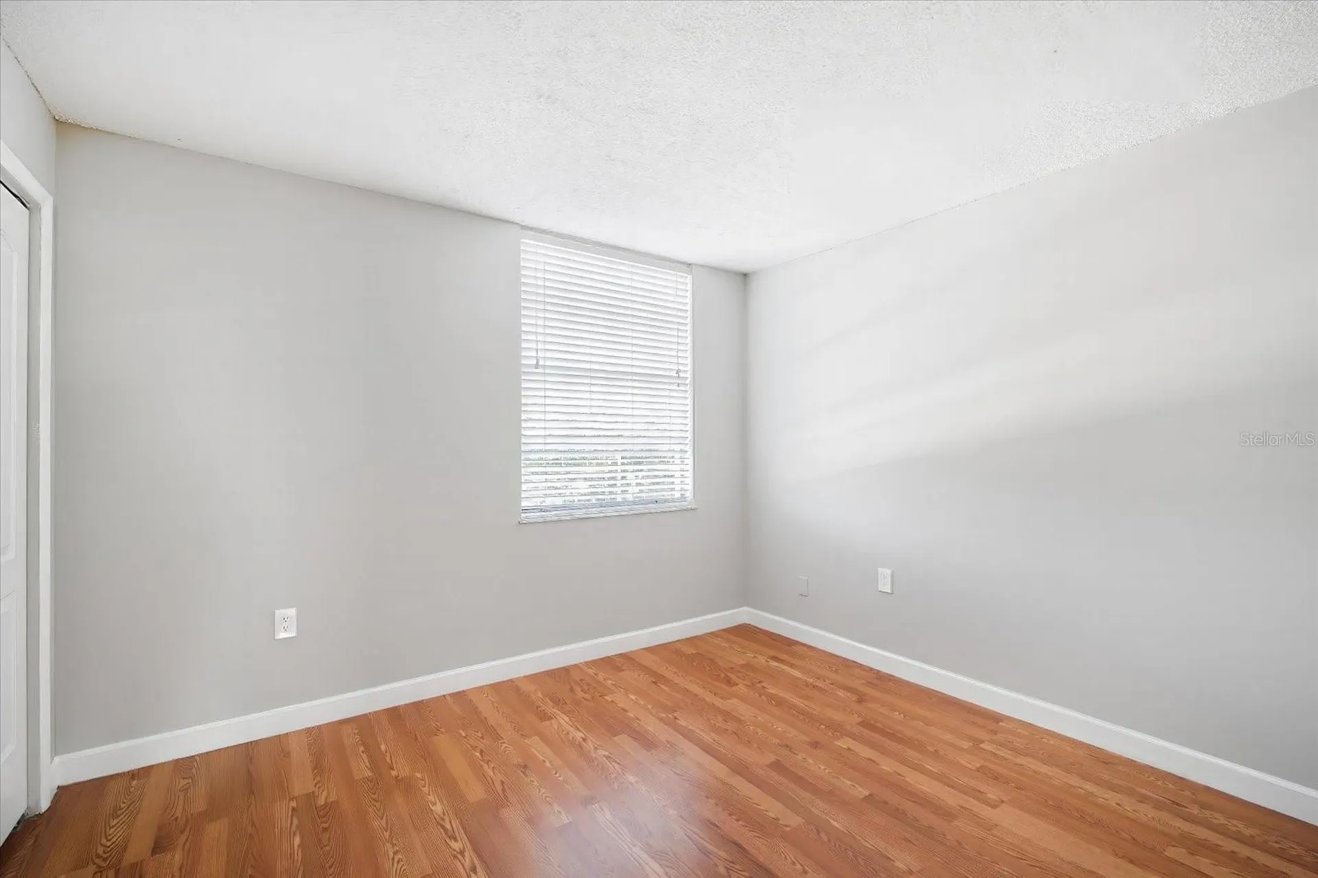 811 Russell Lane Brandon FL 33510