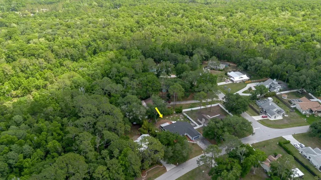 5402 Swallow Drive Land O Lakes FL 34639