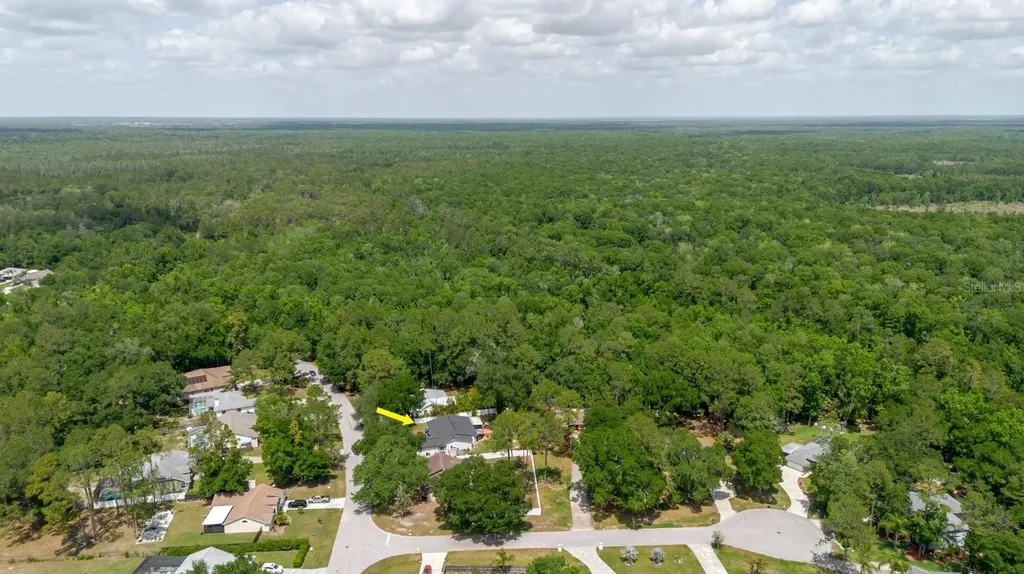 5402 Swallow Drive Land O Lakes FL 34639