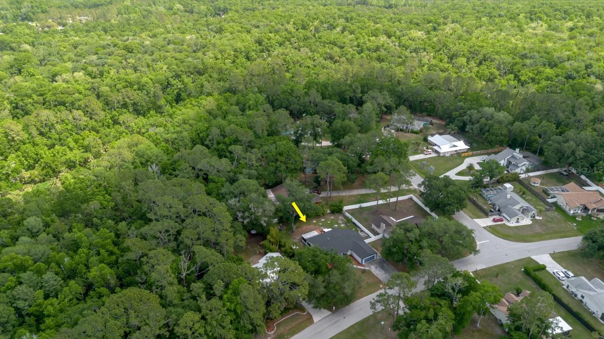 5402 Swallow Drive Land O Lakes FL 34639