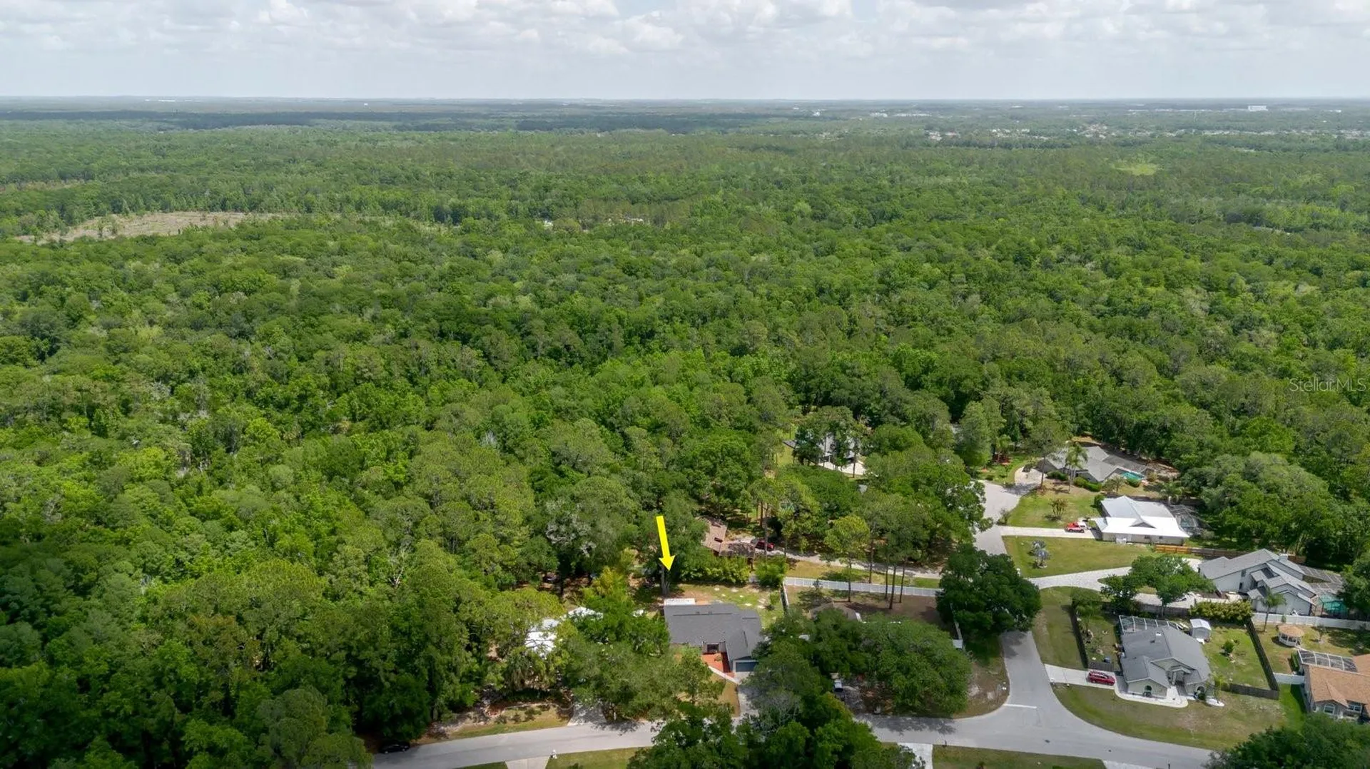 5402 Swallow Drive Land O Lakes FL 34639