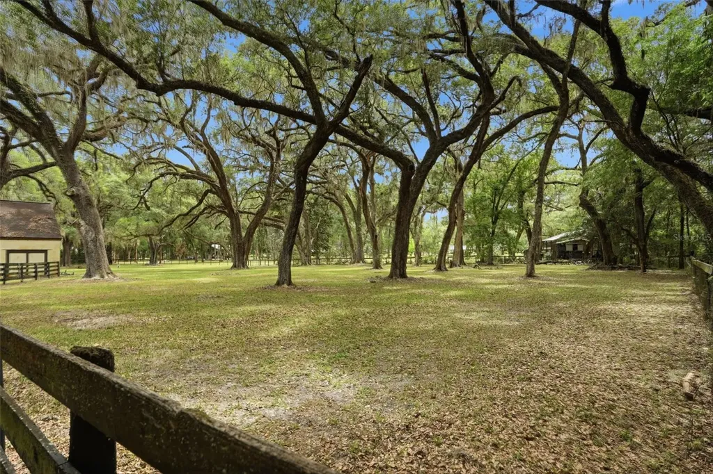 16650 NE 53rd Lane Williston FL 32696