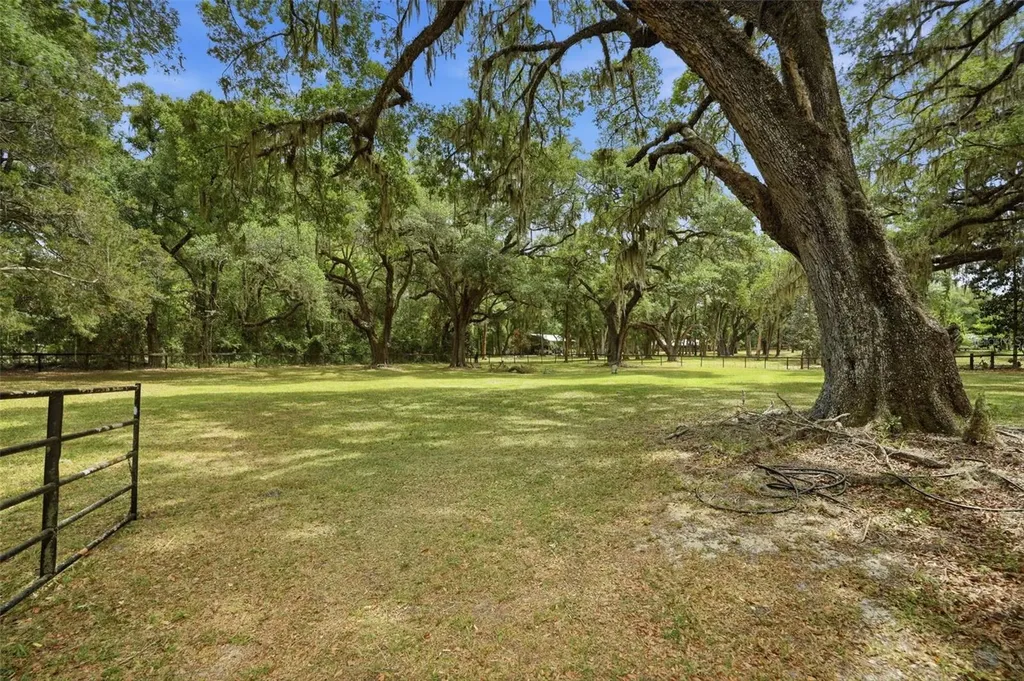 16650 NE 53rd Lane Williston FL 32696