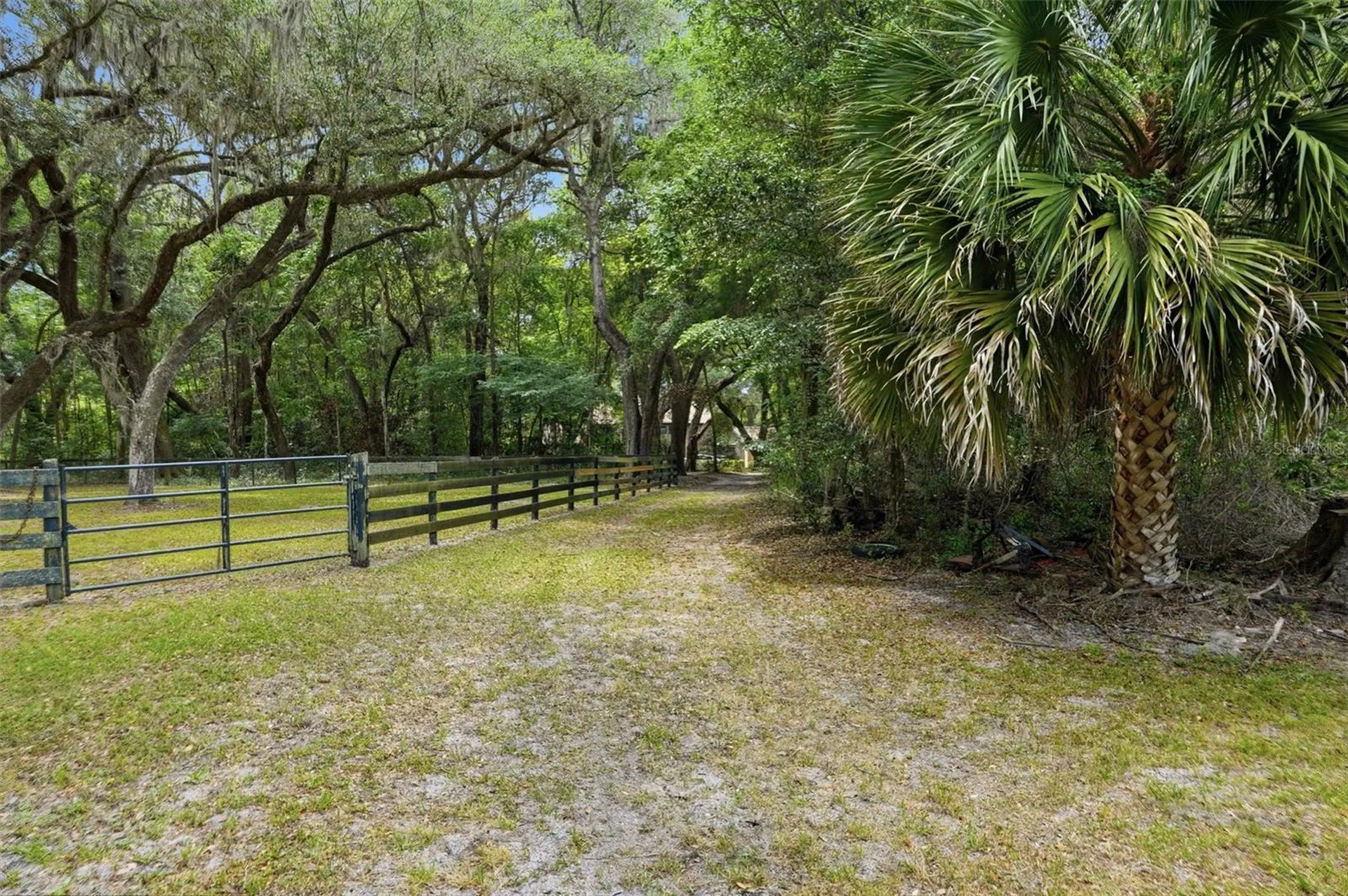 16650 NE 53rd Lane Williston FL 32696