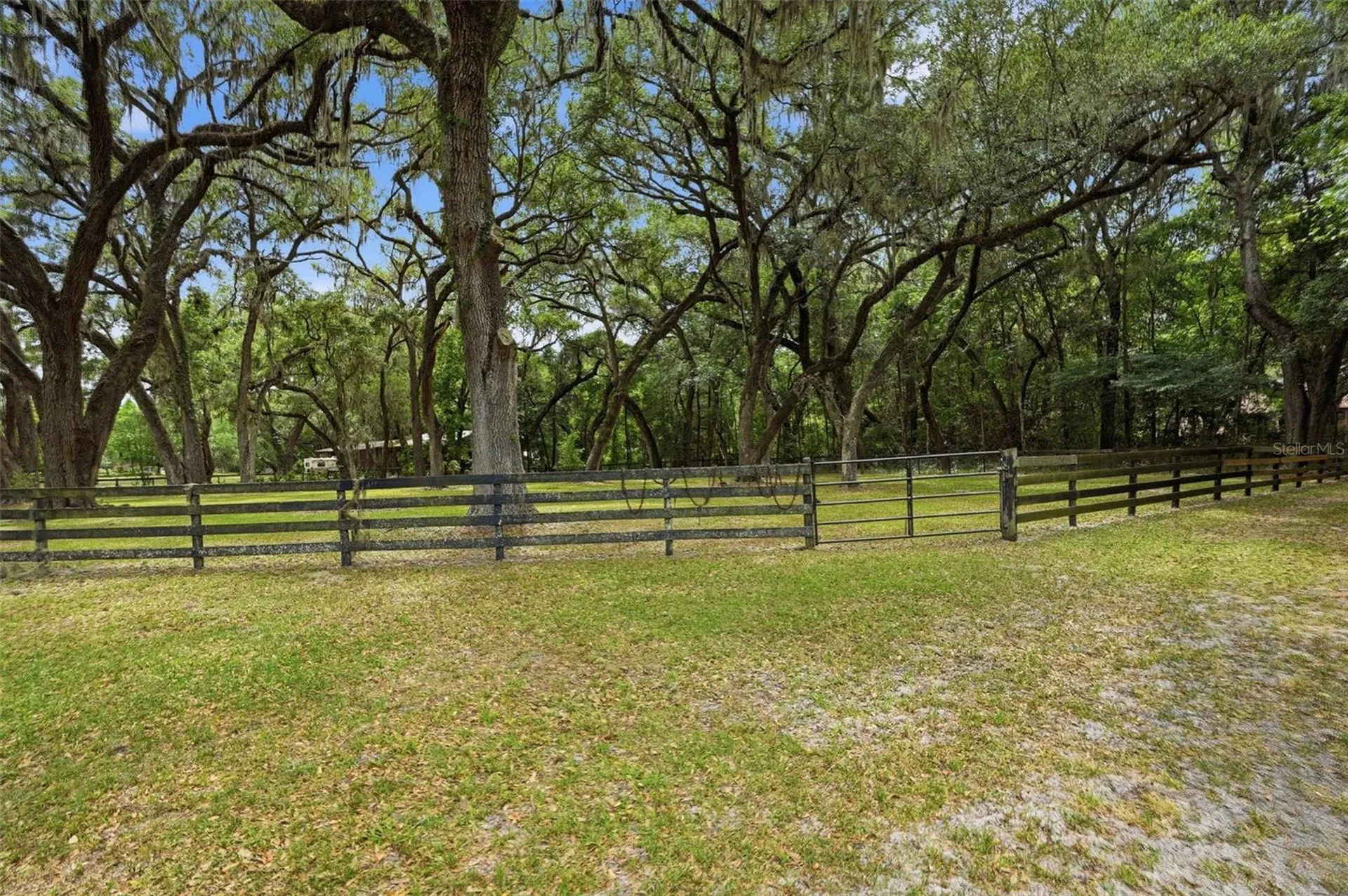 16650 NE 53rd Lane Williston FL 32696
