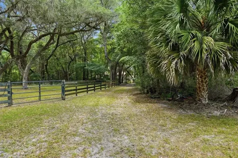 16650 NE 53rd Lane Williston FL 32696