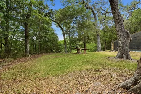16650 NE 53rd Lane Williston FL 32696