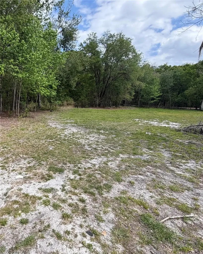 10033 SW County Road 225 Starke FL 32091