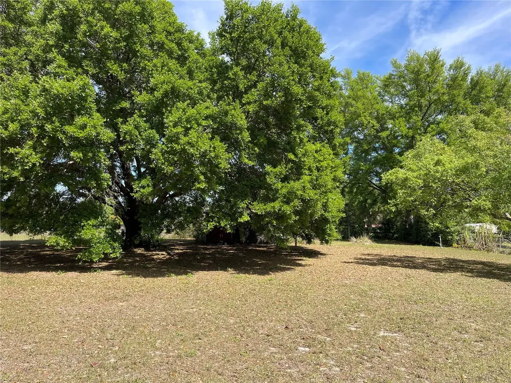 15121 SE 175th Street Weirsdale FL 32195
