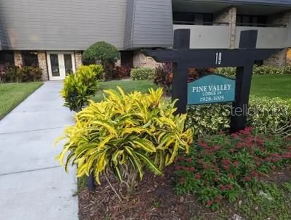 36750 Us Highway 19 N Palm Harbor FL 34684