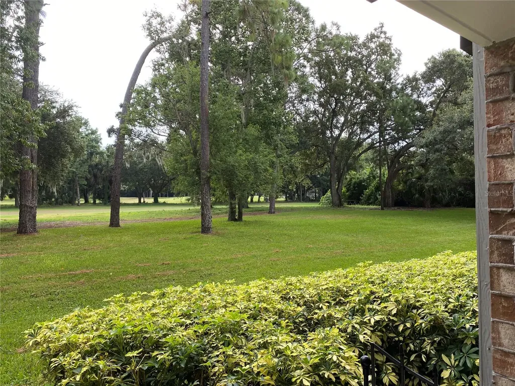 36750 Us Highway 19 N Palm Harbor FL 34684