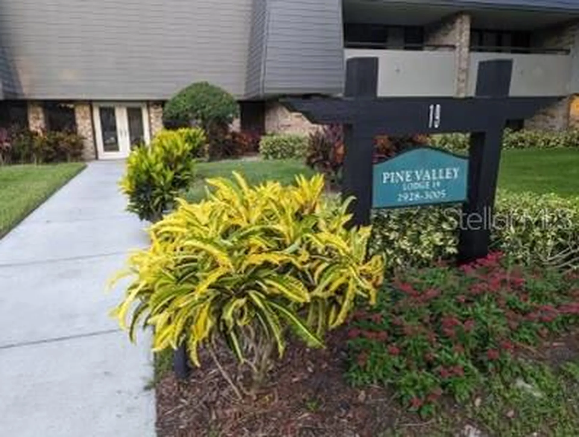 36750 Us Highway 19 N Palm Harbor FL 34684