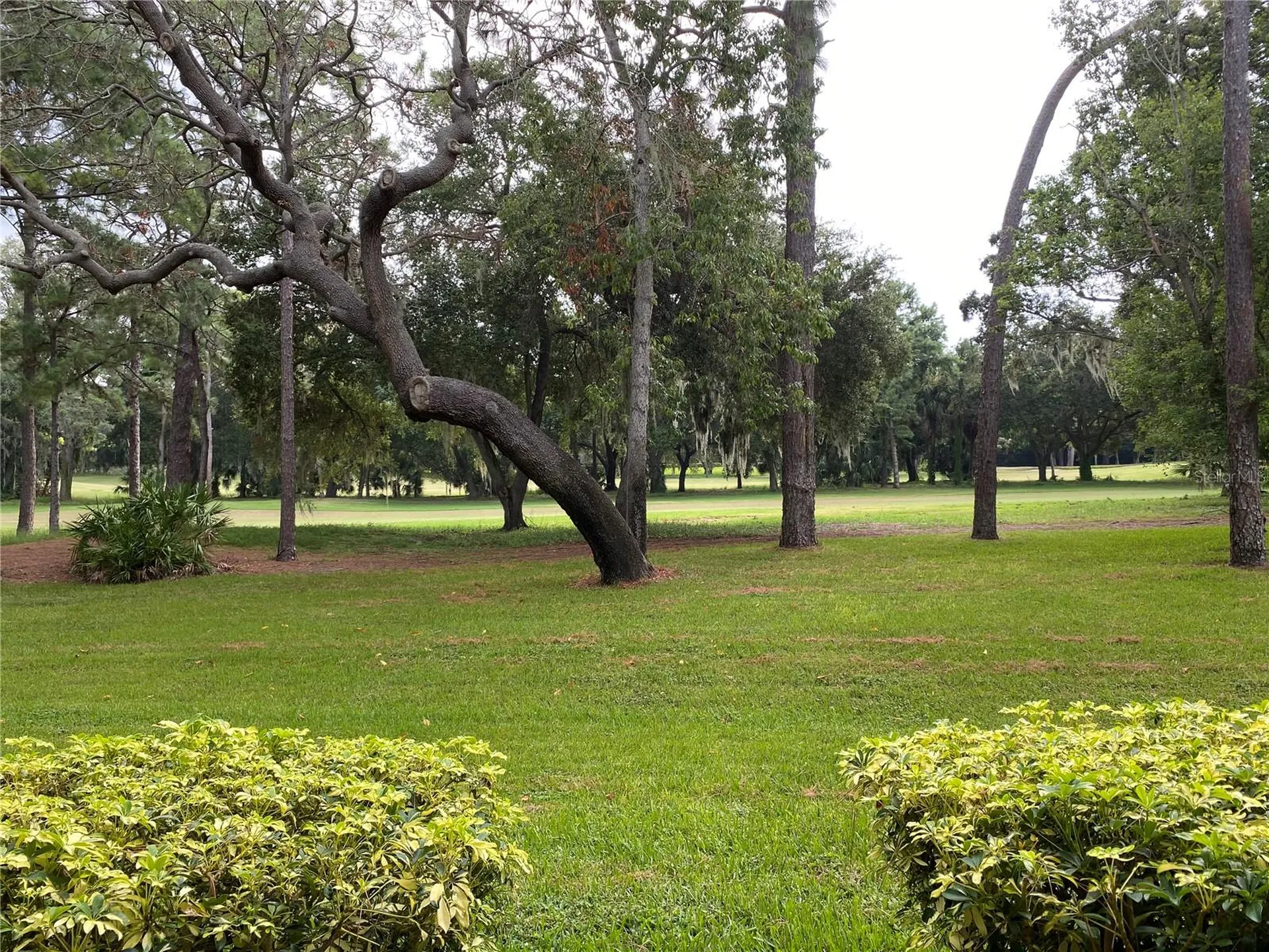 36750 Us Highway 19 N Palm Harbor FL 34684