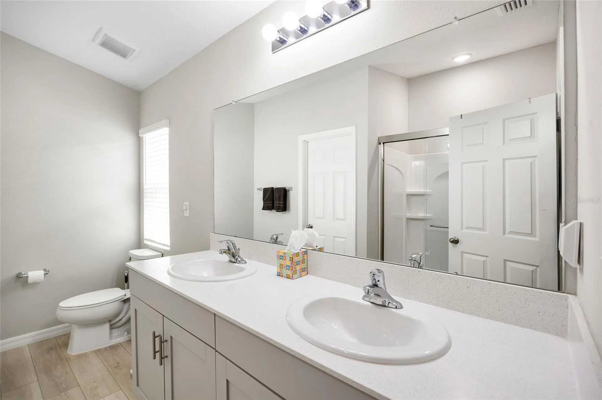 34308 Verbena Street Wesley Chapel FL 33545