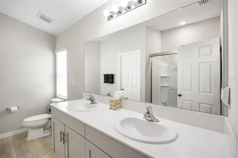 34308 Verbena Street Wesley Chapel FL 33545