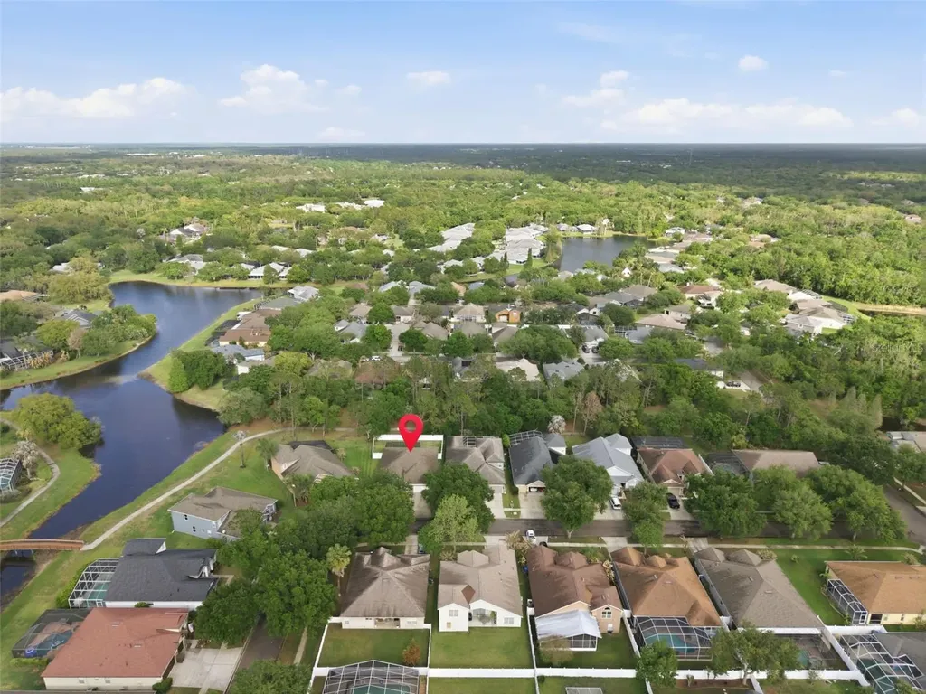 5832 Heronview Crescent Drive Lithia FL 33547