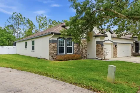 5832 Heronview Crescent Drive Lithia FL 33547