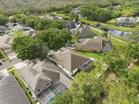 5832 Heronview Crescent Drive Lithia FL 33547