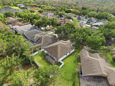 5832 Heronview Crescent Drive Lithia FL 33547