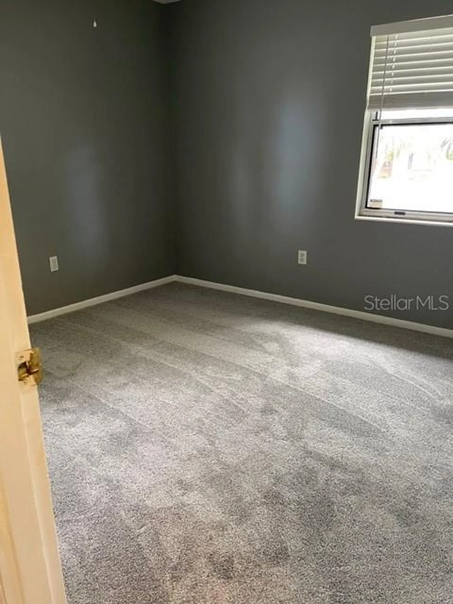 2501 Sheridan Road Mount Dora FL 32757