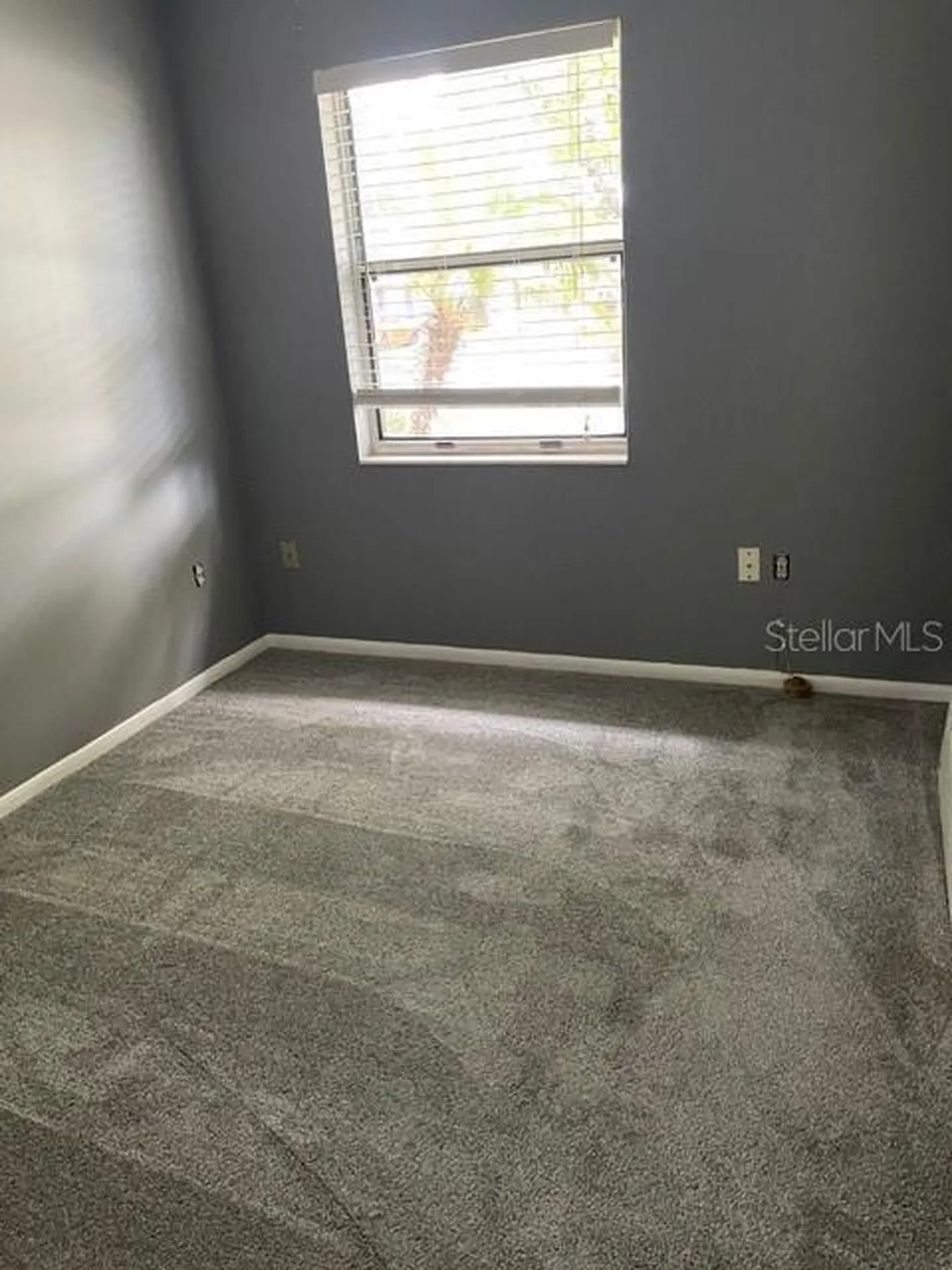 2501 Sheridan Road Mount Dora FL 32757