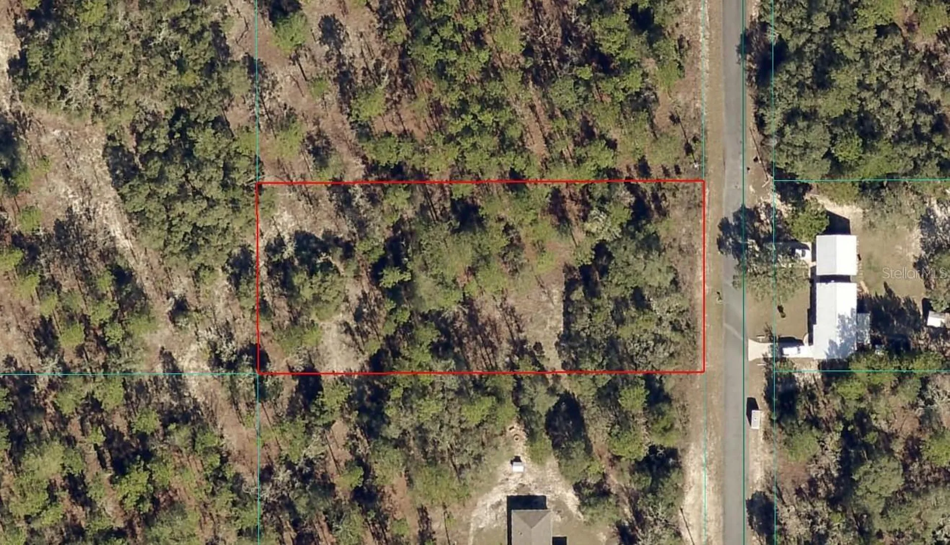Tbd Lot 3 SW Persimmon Lane Dunnellon FL 34431