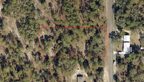 Tbd Lot 3 SW Persimmon Lane Dunnellon FL 34431