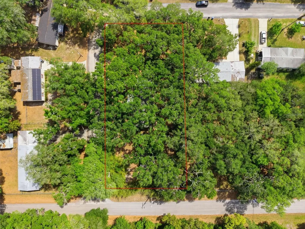 9101 Wood Terrace Drive Tampa FL 33637
