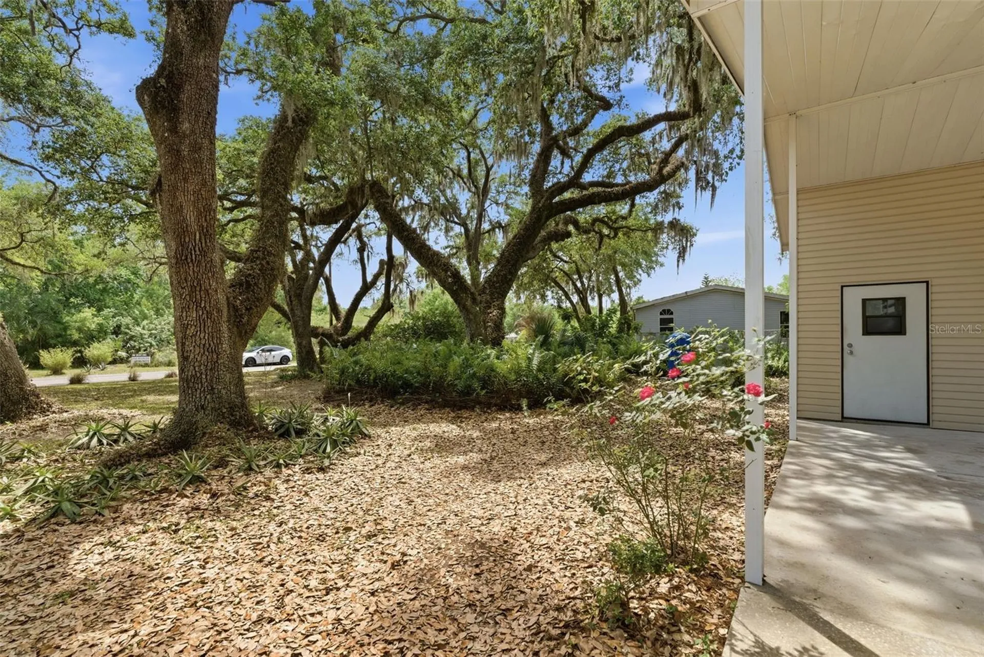 9101 Wood Terrace Drive Tampa FL 33637