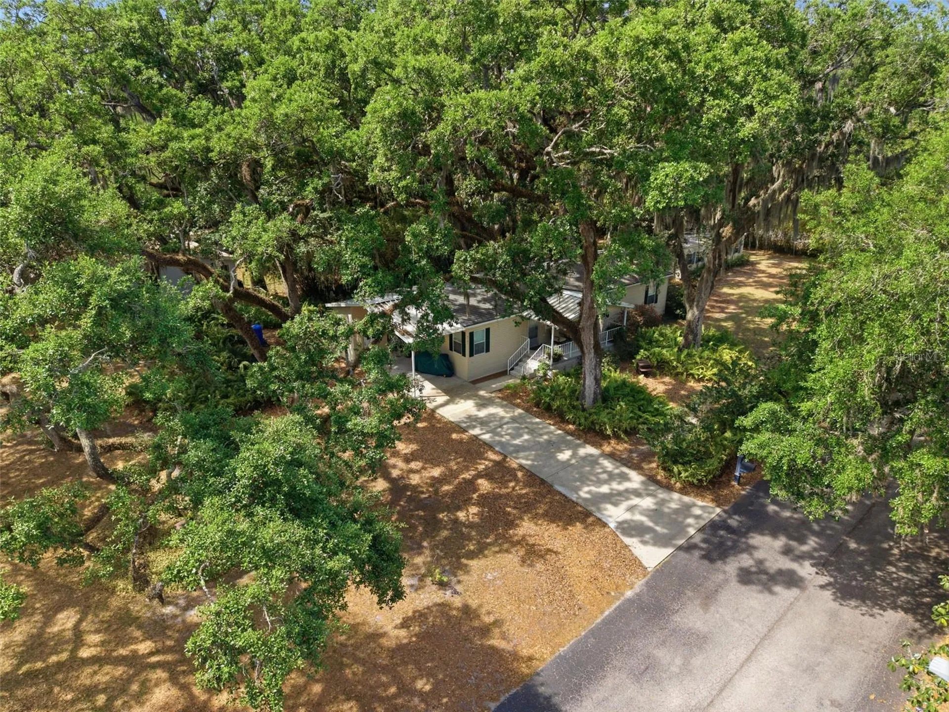 9101 Wood Terrace Drive Tampa FL 33637
